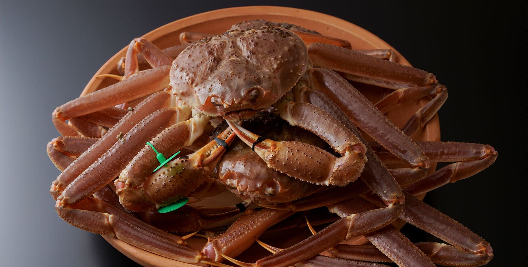 眞松庵:イメージ